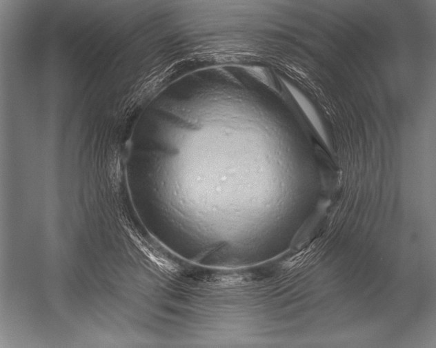 X0000053020405200507221345