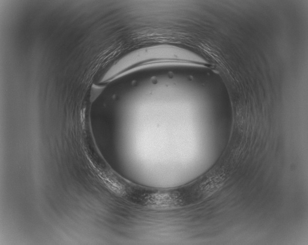 X0000053020406200507221345