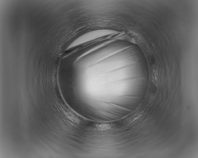 X0000053020409200507221345