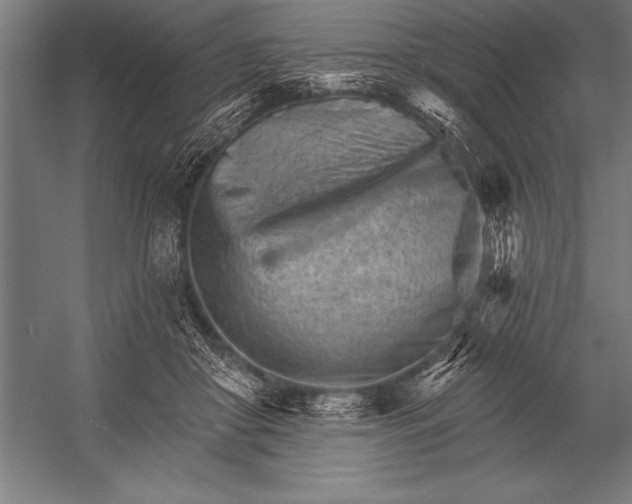 X0000053020410200507221345