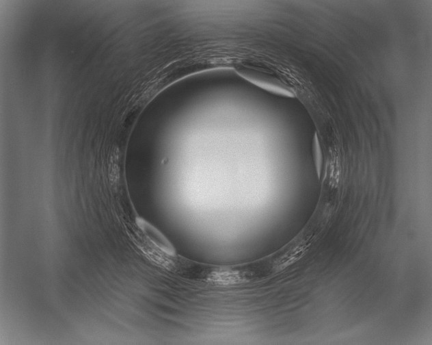 X0000053020413200507221345