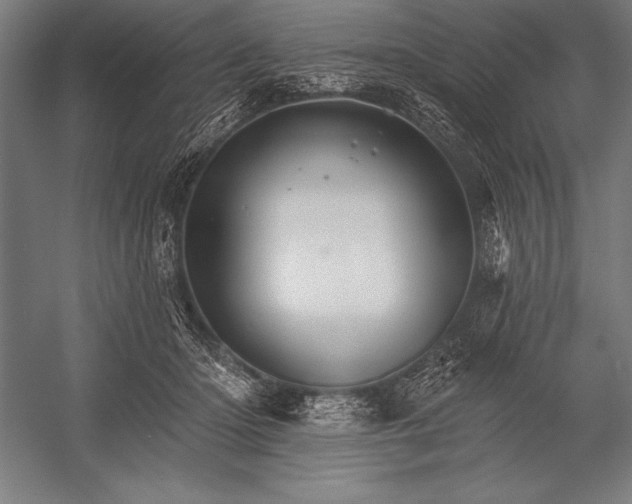 X0000053020414200507221345