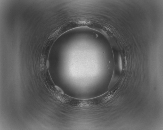 X0000053020416200507221345