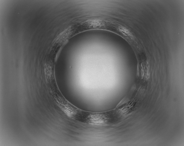 X0000053020417200507221345