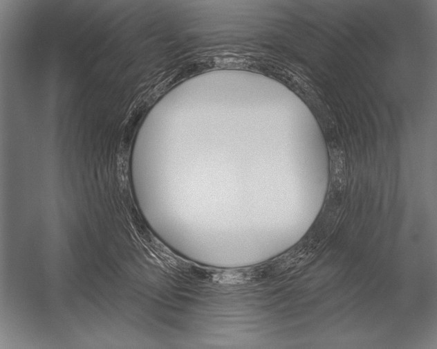 X0000053020419200507221345