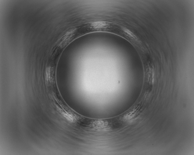 X0000053020421200507221344