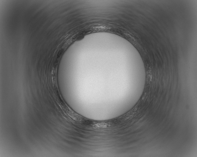 X0000053020423200507221344
