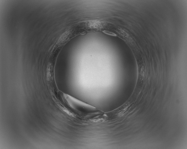 X0000053020424200507221344
