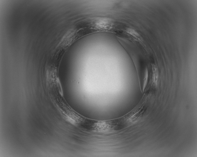 X0000053020425200507221344