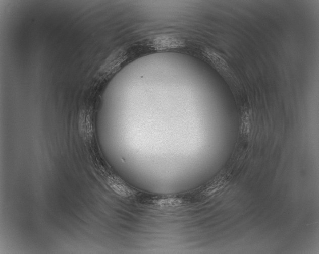 X0000053020426200507221344