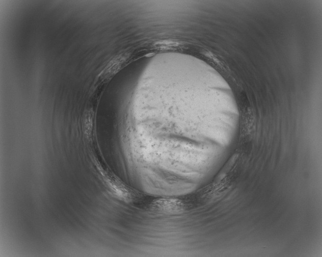 X0000053020427200507221344