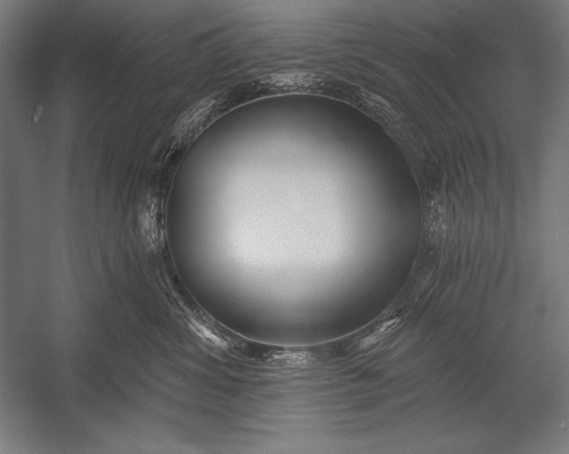 X0000053020428200507221344
