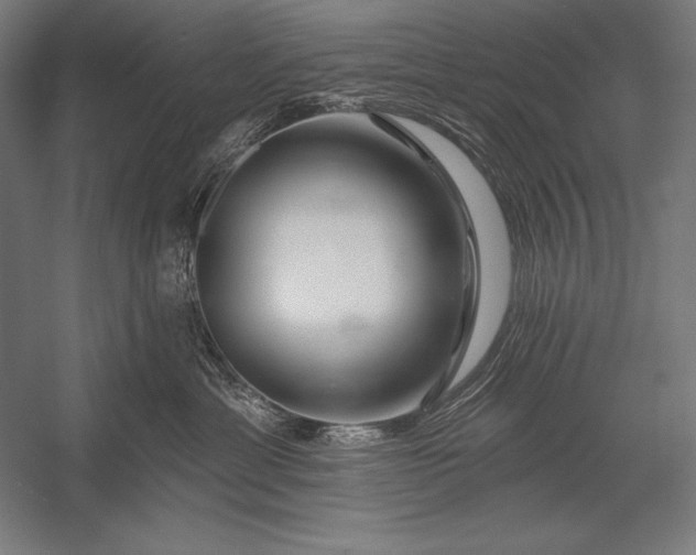 X0000053020429200507221344