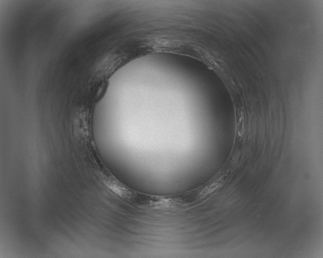X0000053020430200507221344