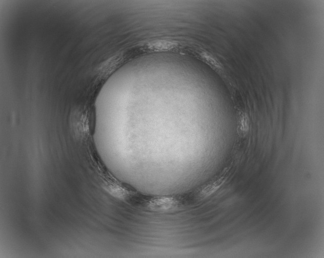 X0000053020431200507221344