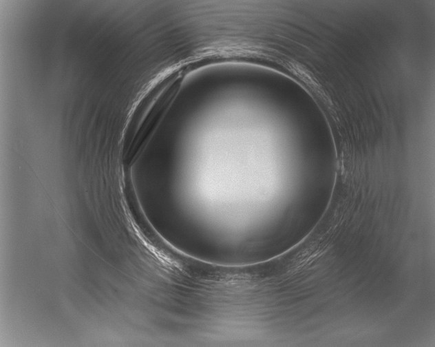 X0000053020438200507221344