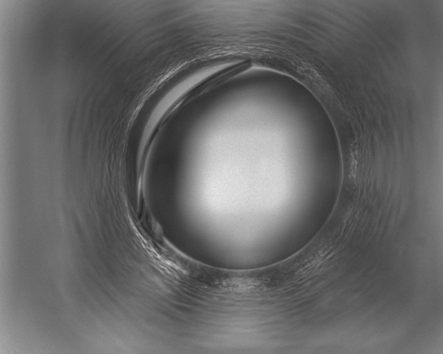 X0000053020444200507221344