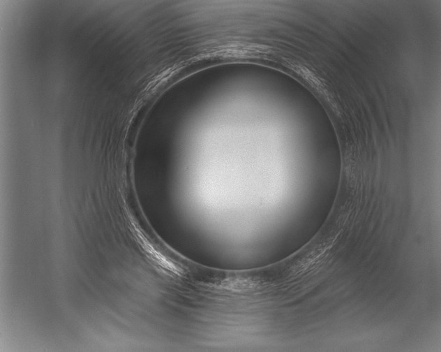 X0000053020445200507221344