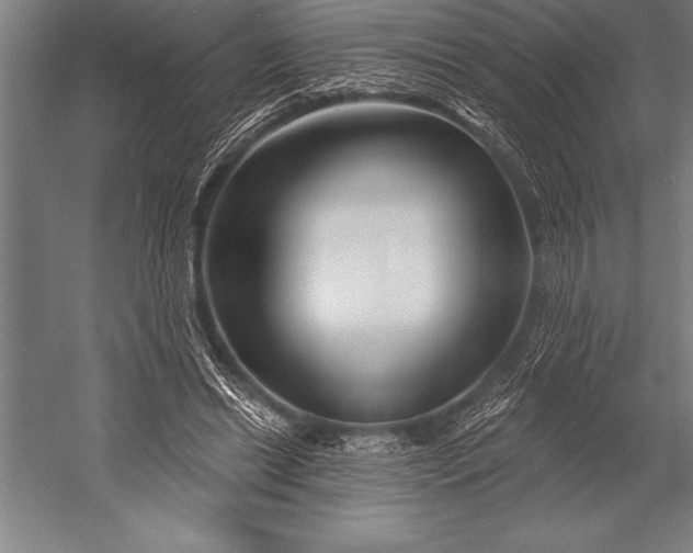 X0000053020446200507221344