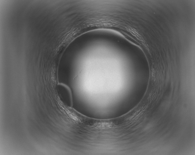 X0000053020449200507221344