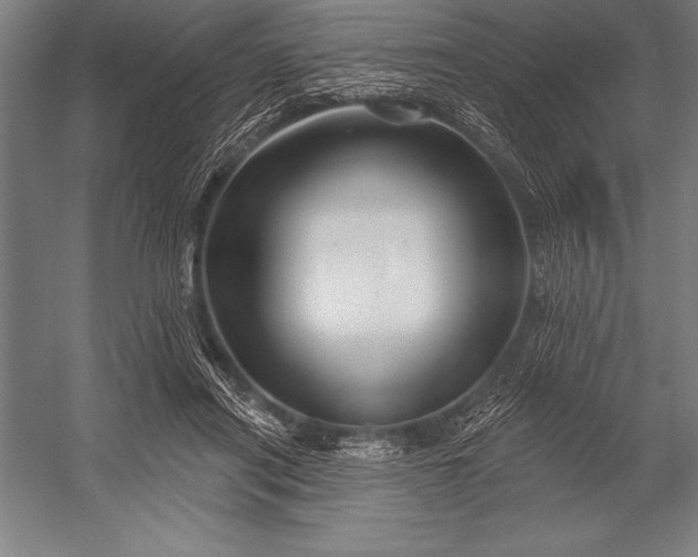 X0000053020454200507221344