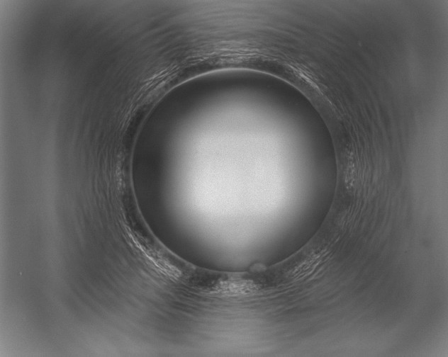 X0000053020455200507221344