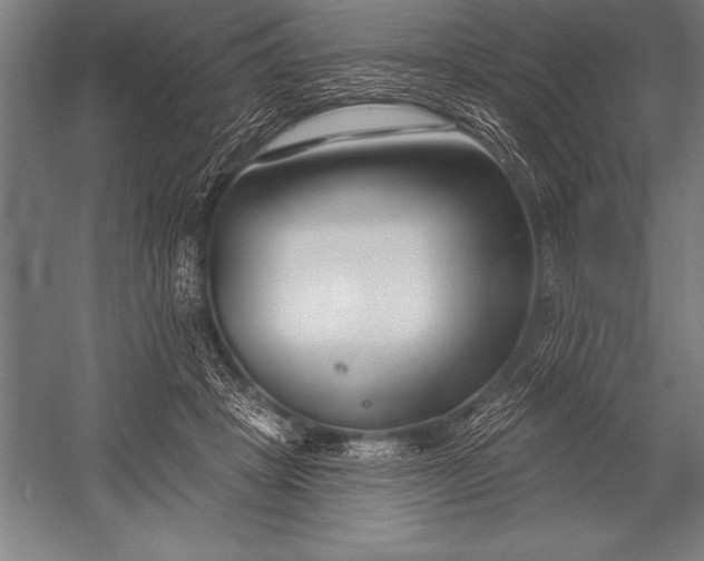 X0000053020457200507221344