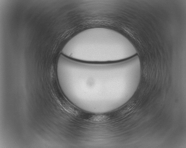 X0000053020459200507221344