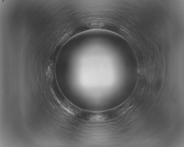 X0000053020460200507221344
