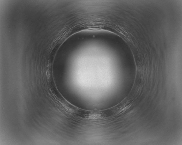 X0000053020462200507221344