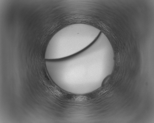 X0000053020463200507221344