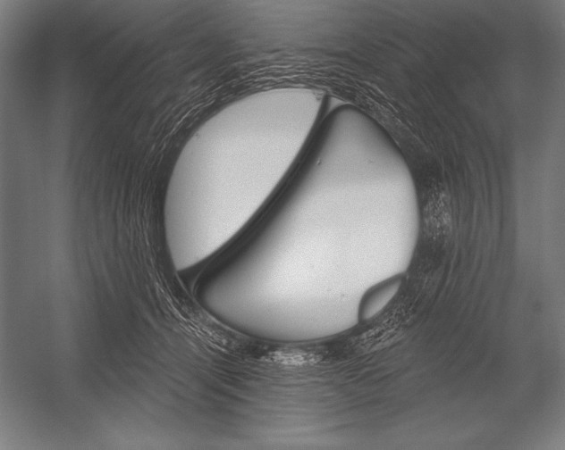 X0000053020464200507221344