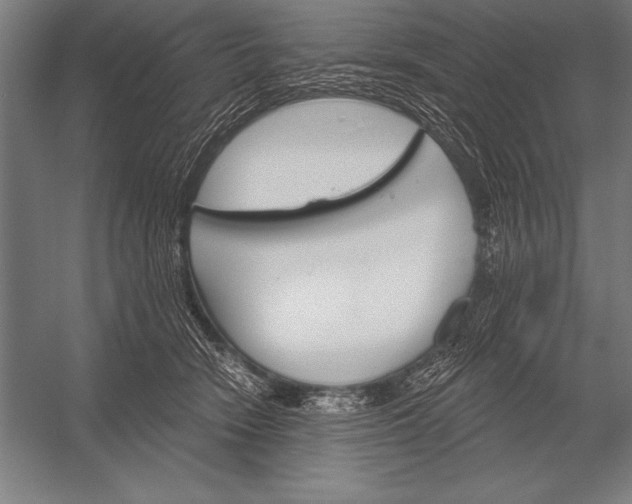 X0000053020466200507221344