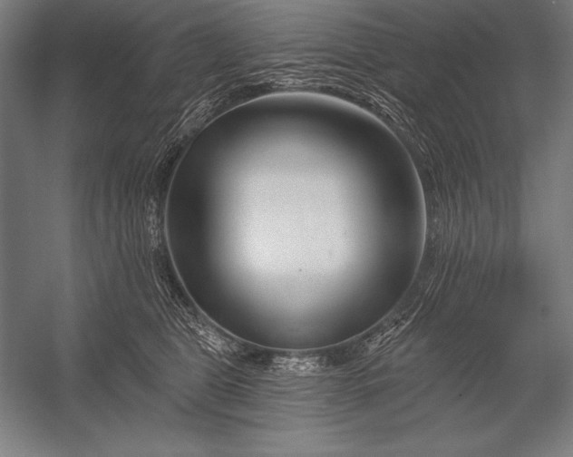 X0000053020469200507221344