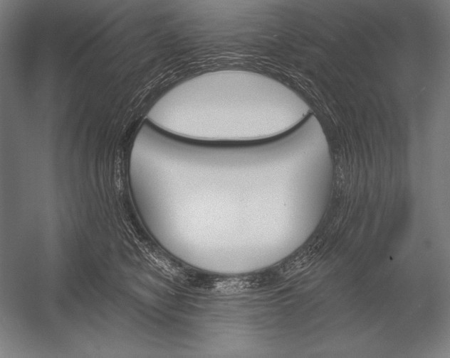 X0000053020470200507221344