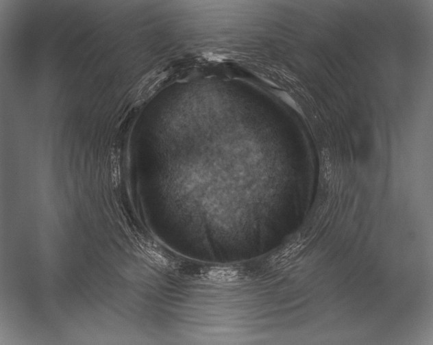 X0000053020471200507221344