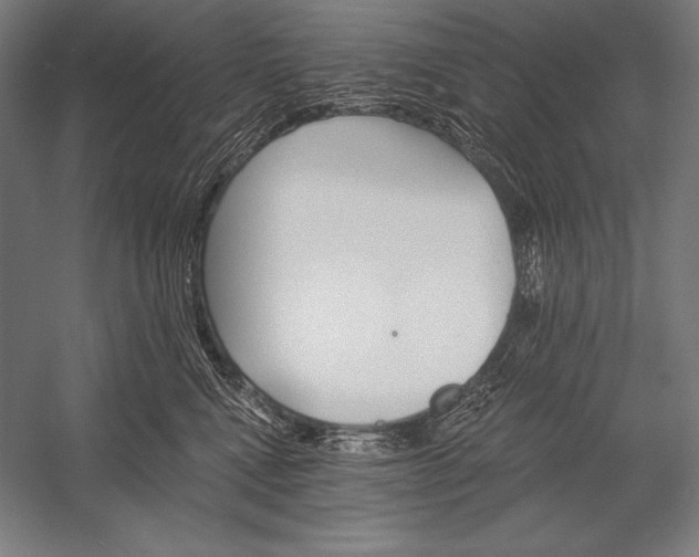 X0000053020472200507221344