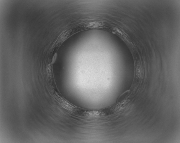 X0000053020473200507221344