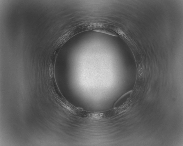 X0000053020474200507221344