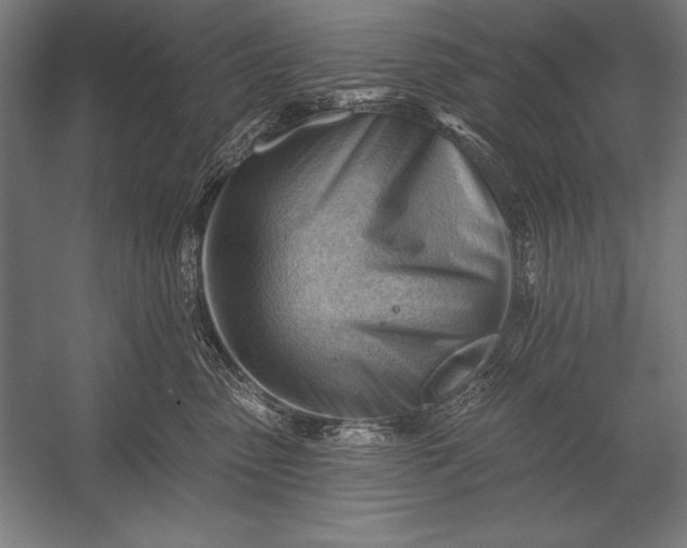 X0000053020475200507221344