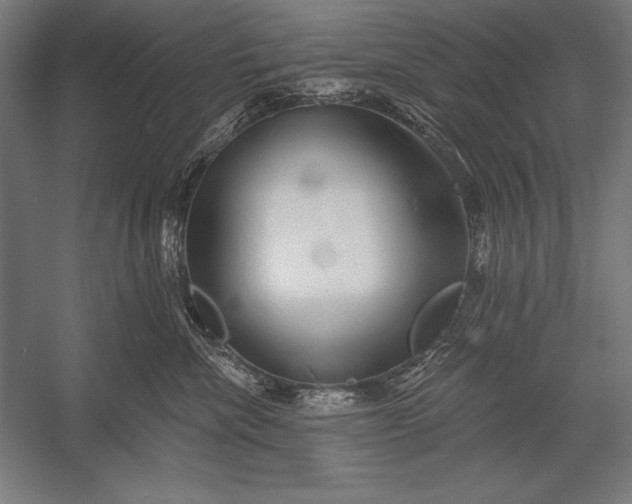 X0000053020476200507221344