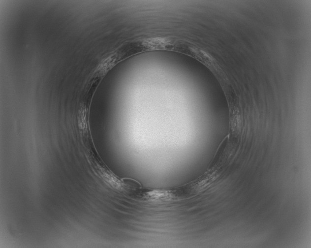 X0000053020477200507221344