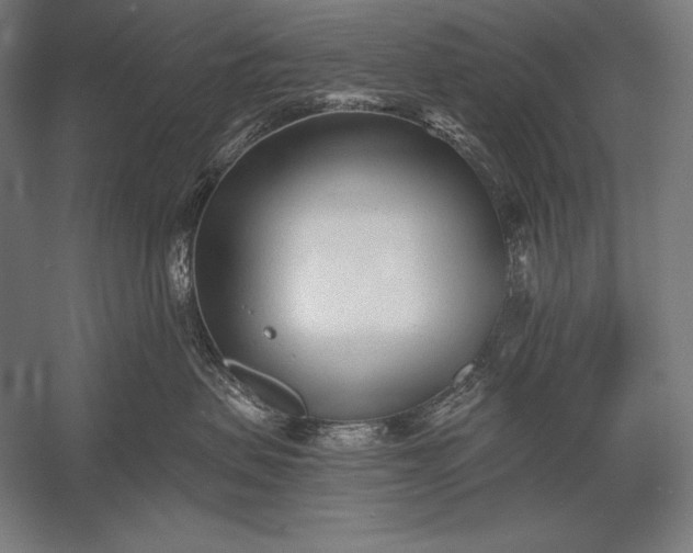 X0000053020479200507221344