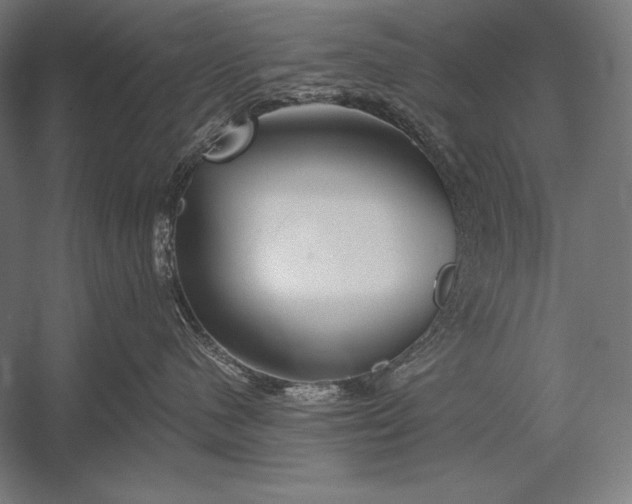 X0000053020480200507221344