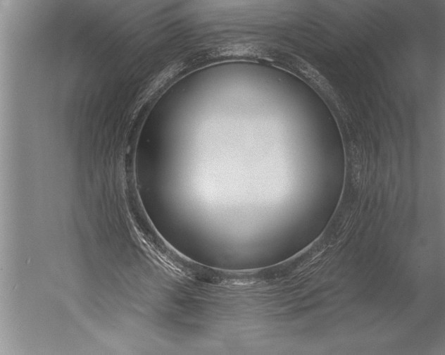 X0000053020482200507221343