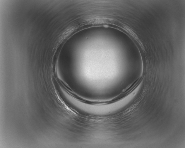 X0000053020485200507221343