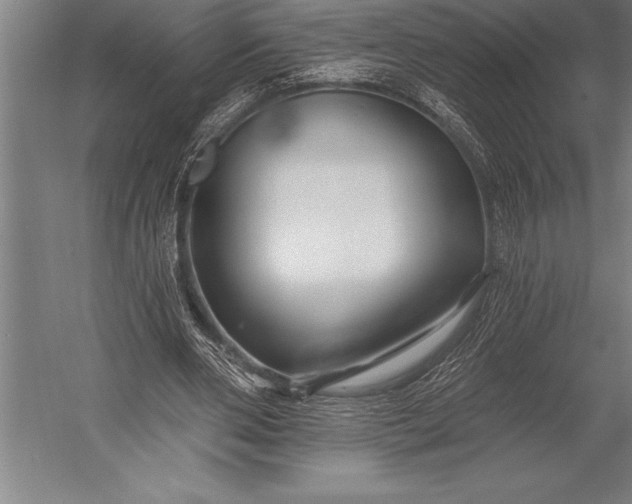 X0000053020486200507221343