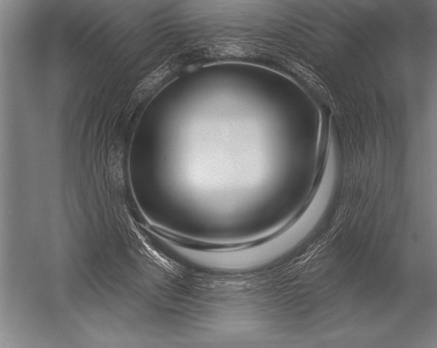 X0000053020489200507221343