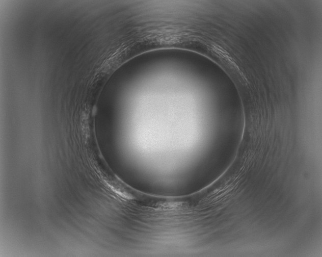 X0000053020497200507221343
