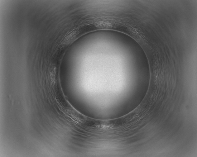 X0000053020498200507221343